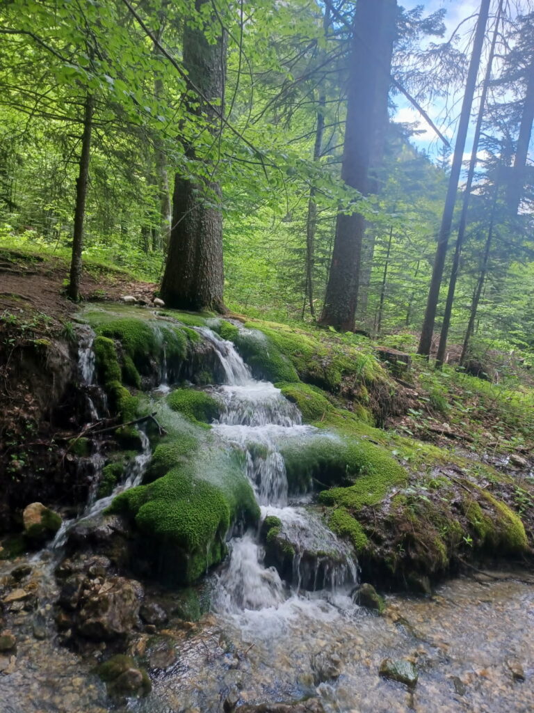 cascade mousse Jarjatte