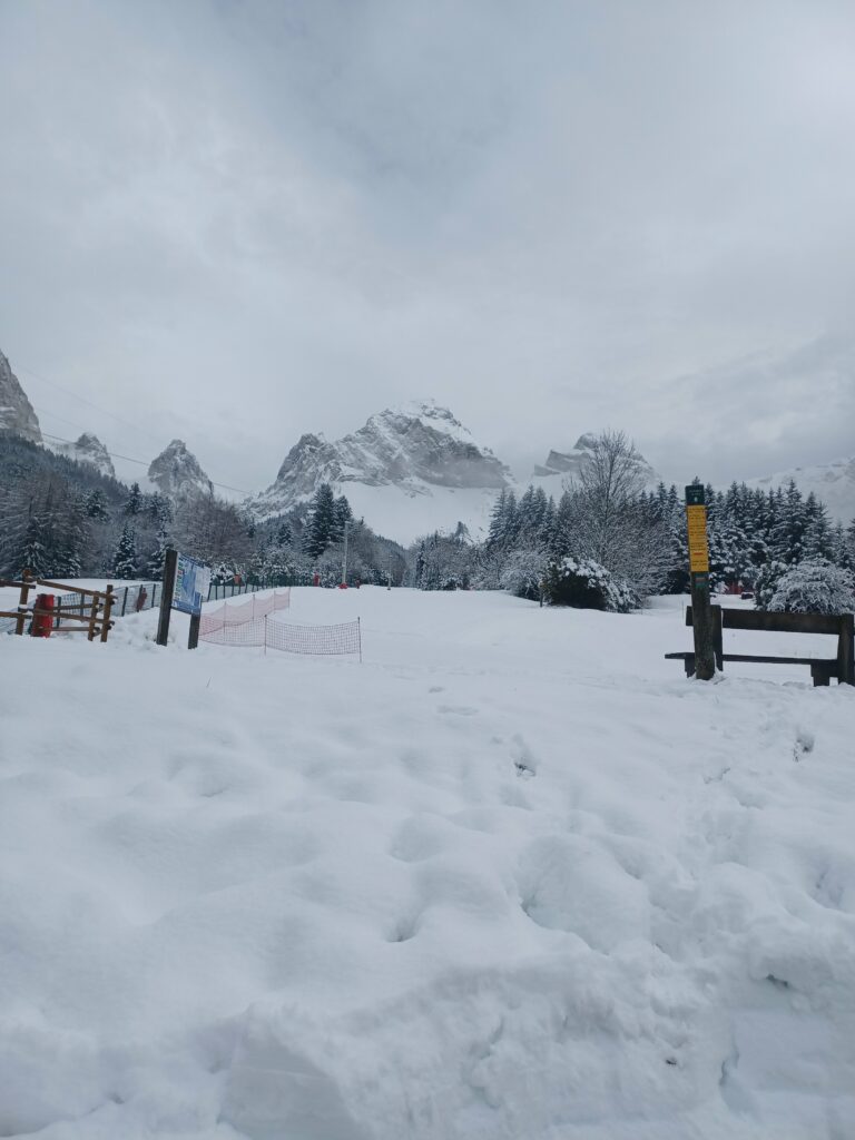 neige jarjatte janvier 2026